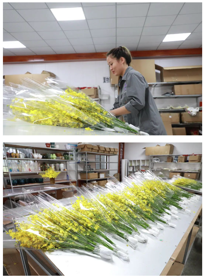 巡礼  白沙：奋力描绘“绿水青山”新画卷4.png